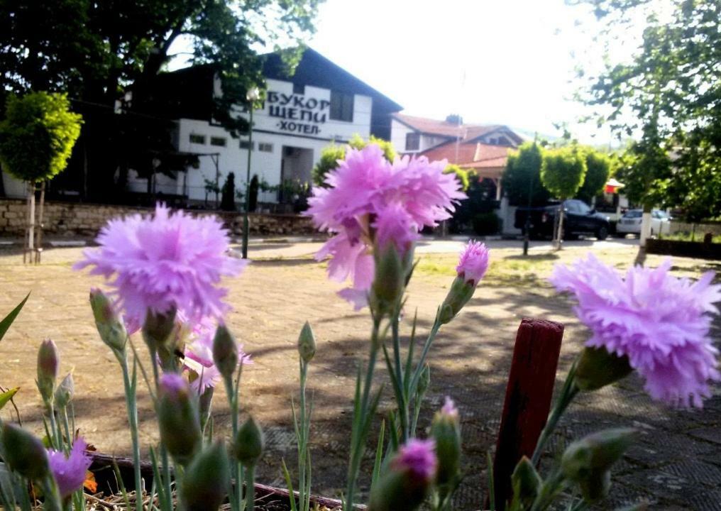 Guest House Bukor Shtepi Mandrica Exterior foto